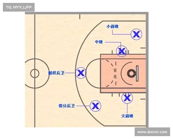全面解析NBA各球队最新动态及球员表现趋势