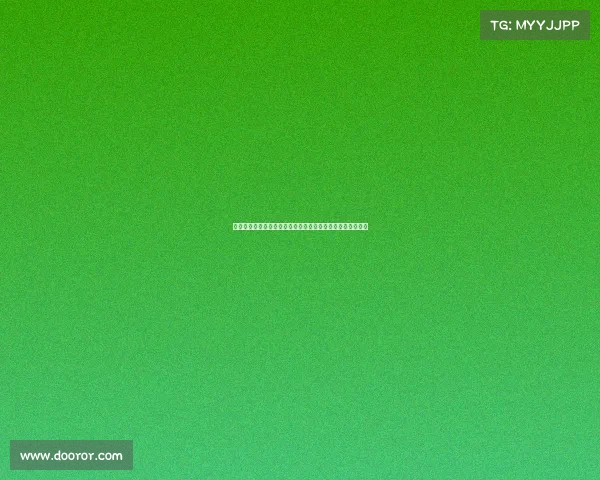 网球赛场的魅力与激情：探秘高水平比赛中的氛围与观众体验